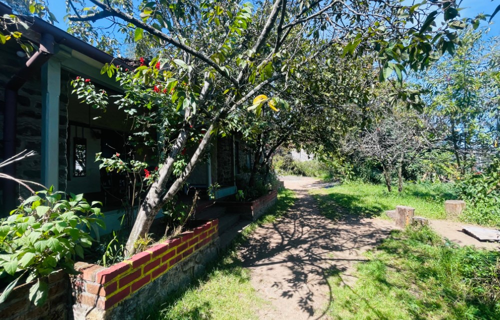 Gallery Picture